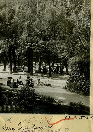 Tasmania Stereograph View Proof sheets of original photographs