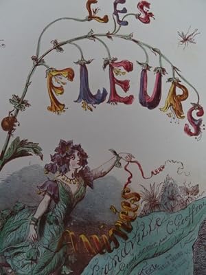 Les Fleurs Animées. Texte par A. Karr, T. Delord et le Cte. Foelix. 2 Bände. Paris, Gonet, (1857)...