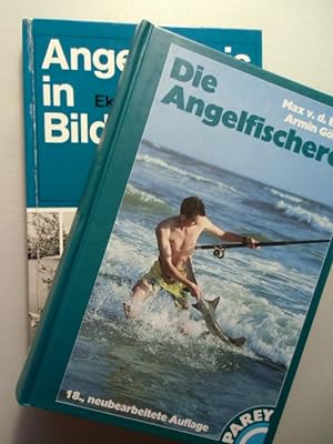 2 Bücher Angelfischerei Parey Angelpraxis in Bildern Fischen Angeln