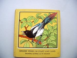 Unsere Vögel in Stadt und Land Geschichten und Bilder W. Schneebeli Maier Nr.880