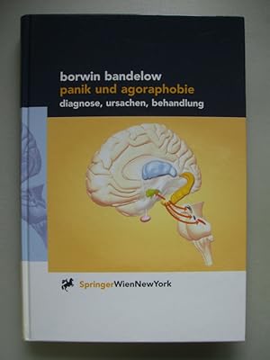 Panik und Agoraphobie Diagnose Ursachen Behandlung 2001