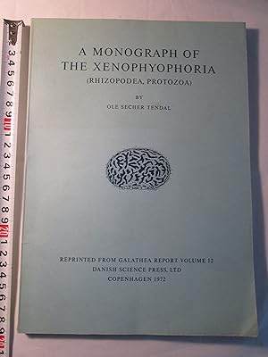 A Monograph of the Xenophyophoria (Rhizopodea, Protozoa)