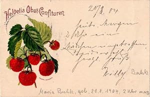 Postkarte in Farblithographie. Abgestempelt Hamburg 20.08.1904.