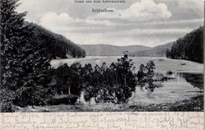 Gruss aus dem Schwarzwald. Ansichtskarte in Lichtdruck. Abgestempelt Hinterzarten 29.07.1904.