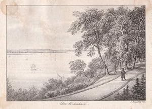 Blankenese - Der Birkenhain. Lithographie von Siegfried Bendixen.