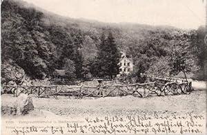 Bergmannsruhe b. Badenweiler. Ansichtskarte in Lichtdruck. Abgestempelt Badenweiler 18.07.1905.