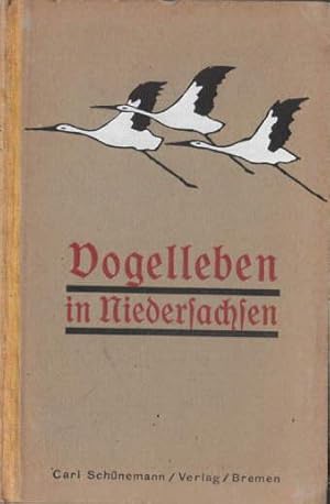 Bild des Verkufers fr Vogelleben in Niedersachsen. 9 Skizzen. zum Verkauf von Antiquariat Heinz Tessin