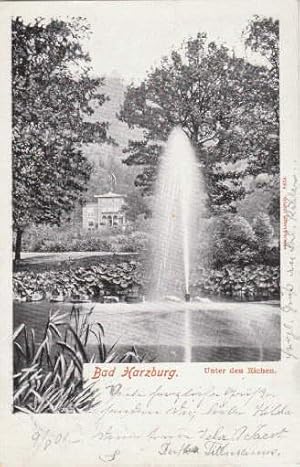 Seller image for Unter den Eichen. Ansichtskarte in Lichtdruck. Abgestempelt Harzburg 09.08.1901. for sale by Antiquariat Heinz Tessin