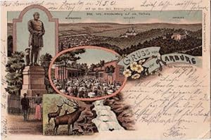 Seller image for Gruss von der Harburg b. Wernigerode. Ansichtskarte in Farblithographie. Abgestempelt Wernigerode 15.07.1897. for sale by Antiquariat Heinz Tessin