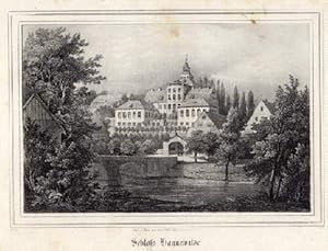 Imagen del vendedor de Schlo Haynewalde. Lithographie aus Saxonia. a la venta por Antiquariat Heinz Tessin