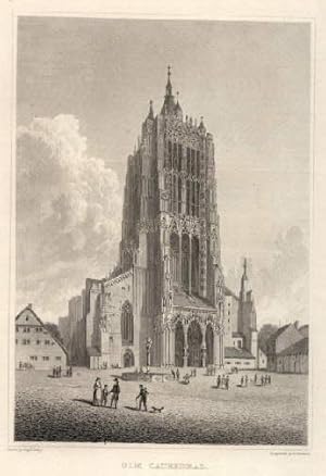 Münster (Ulm Cathedral). Stahlstich W.Woolnoth nach R.Batty.