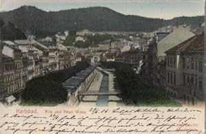 Alt und Neue Wiese. Ansichtskarte in farbigem Lichtdruck. Abgestempelt Karlsbad 29.06.1906.