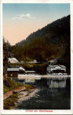 am Walchensee. Wiesmayers Hotel Post und Jäger am See. Ansichtskarte in farbigem Lichtdruck. Abge...