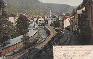 v. Süden. Ansichtskarte in farbigem Lichtdruck. Abgestempelt Wildbad 03.08.1904.