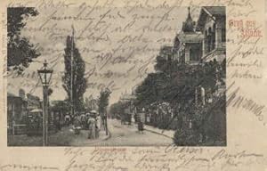 Gruss aus Ahlbeck. Dünenstrasse. Ansichtskarte in Lichtdruck. Abgestempelt Ahlbeck 27.08.1901.