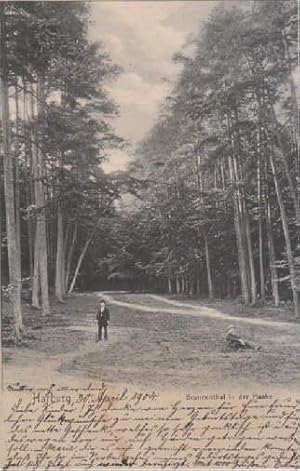 Bild des Verkufers fr Brunnenthal in der Haake. Ansichtskarte in Lichtdruck. Abgestempelt Harburg 30.04.1904. zum Verkauf von Antiquariat Heinz Tessin