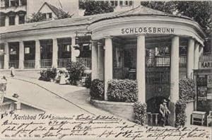 Imagen del vendedor de Schlossbrunnen. Ansichtskarte in Lichtdruck. Abgestempelt Karlsbad 11.06.1906. a la venta por Antiquariat Heinz Tessin