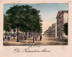 Die Palmaille in Altona. Kolorierte Lithographie von Peter Suhr.