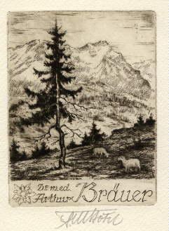 Seller image for Exlibris f�r Dr.med. Arthur Br�uer. Original-Radierung von Fritz B�tel, mit Bleistift signiert. for sale by Antiquariat Heinz Tessin