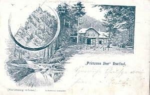 Prinzess Ilse", Ilsethal. Ansichtskarte in blauem Lichtdruck. Abgestempelt Ilsenburg 06.08.1893.