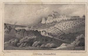 Teilansicht mit Schloß. Lithographie von Ed. Pietzsch.