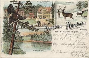 Immagine del venditore per Kurhaus zum Auerhahn bei Zellerfeld, Oberharz, Bes. Oto Langenstraen. 3 Ansichten (Kur- und Pensionshaus; Wildftterung; Auerhahns Teich). Ansichtskarte in Farblithographie. Abgestempelt Zellerfeld 15.05.1898. venduto da Antiquariat Heinz Tessin