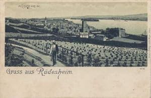 Bild des Verkufers fr Gruss aus Rdesheim. Ansichtskarte in Photolithographie. Ungelaufen. zum Verkauf von Antiquariat Heinz Tessin