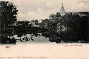 Blick vom Schlossberg. Ansichtskarte in Lichtdruck. Ungelaufen.
