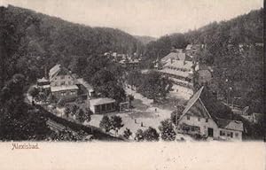 Bild des Verkufers fr Ansichtskarte in Lichtdruck. Abgestempelt Alexisbad 29.07.1906. zum Verkauf von Antiquariat Heinz Tessin