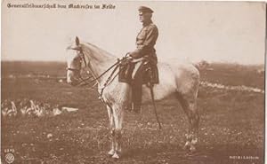 Bild des Verkufers fr Postkarte in Photodruck. Ungelaufen. zum Verkauf von Antiquariat Heinz Tessin