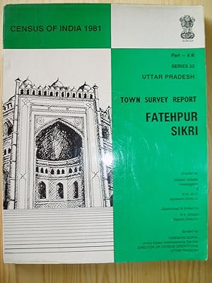 Seller image for Town Survey Report: Fatehpur Sikri for sale by Expatriate Bookshop of Denmark