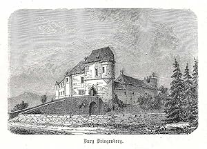 Burg Dringenberg.