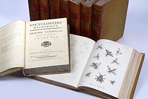 Encyclopédie méthodique. Histoire naturelle: Insectes
