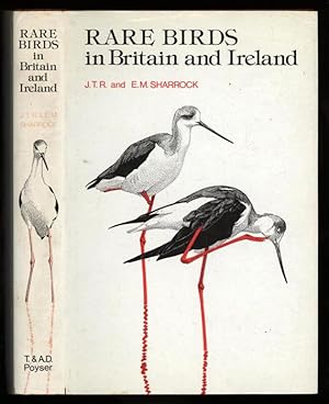 Imagen del vendedor de Rare Birds in Britain and Ireland a la venta por Sapience Bookstore