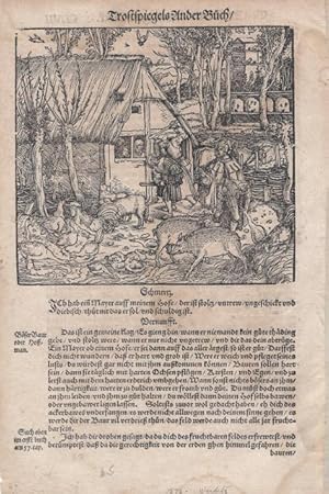 Seller image for Single leaf from Petrarch s "Trostspiegel in Gluck und Ungluck" for sale by Sanctuary Books, A.B.A.A.