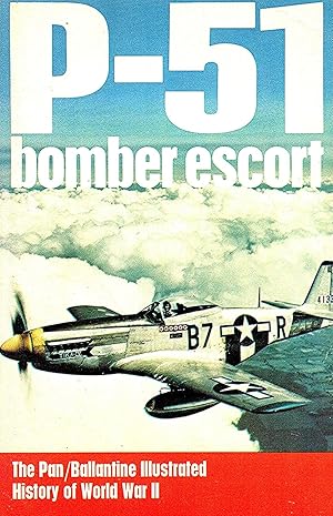 P-51 Bomber Escort :