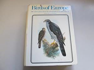Bild des Verkäufers für Birds Of Europe. Text By A. Rutgers zum Verkauf von Goldstone Rare Books
