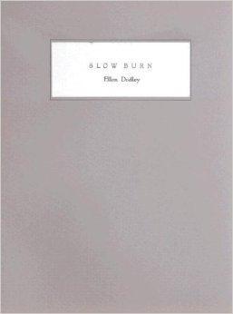 Seller image for Slow Burn (Provincetown poets) for sale by Monroe Street Books