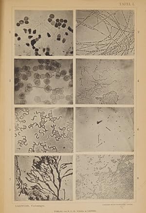 Vorlesungen über die geschichtliche Entwickelung der Lehre von den Bacterien. Erster Theil. Bis z...