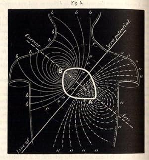 Bild des Verkufers fr On the Electromotive Changes connected with the Beat of the Mammalian Heart, and of the Human Heart in particular (pp.16-194, 9 Fig.). zum Verkauf von Antiq. F.-D. Shn - Medicusbooks.Com