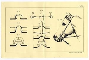 Taschenbuch für Pferdebesitzer und Reiter aller Stände, .