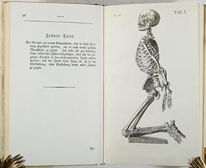 Anatomie des menschlichen Körpers, aus dem Englischen übersetzt von August Ferdinand Wolff, nebst...
