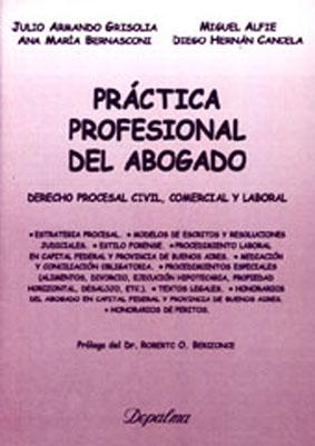 Práctica profesional del abogado : derecho procesal civil, comercial y laboral.