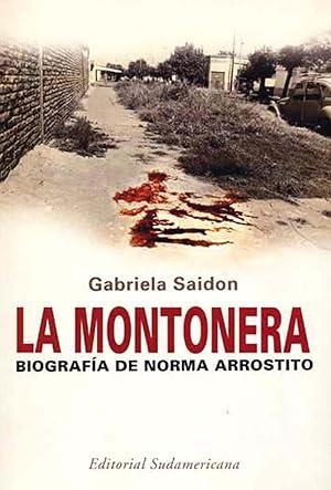 La montonera : biografía de Norma Arrostito.-- ( Biografías y testimonios )