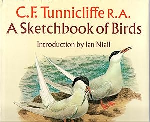 Imagen del vendedor de A Sketchbook of Birds a la venta por Michael Moons Bookshop, PBFA