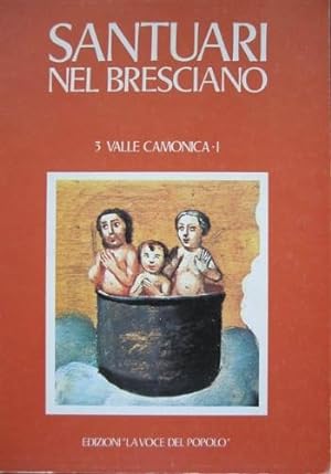 Seller image for Santuari nel Bresciano for sale by Libreria La Fenice di Pietro Freggio