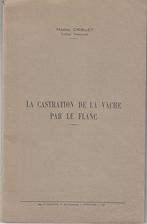 La castration de la vache par le flanc