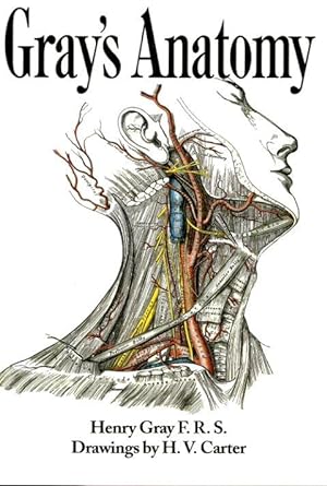 Seller image for GRAY'S ANATOMY for sale by Grandmahawk's Eyrie