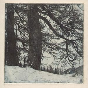 Bild des Verkufers fr Fichten im Schnee bei Davos. Radierung von Fritz Behnke, links unten signiert. zum Verkauf von Antiquariat Heinz Tessin
