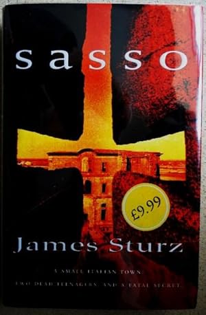 Seller image for Sasso for sale by Weysprings Books, IOBA, PBFA